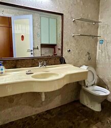 Meralodge (D23), Condominium #561747471